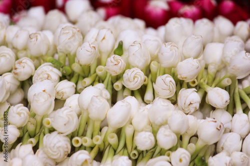 white flowers