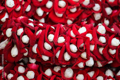 red hearts on black background