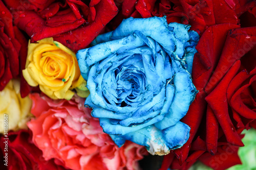 bouquet of roses