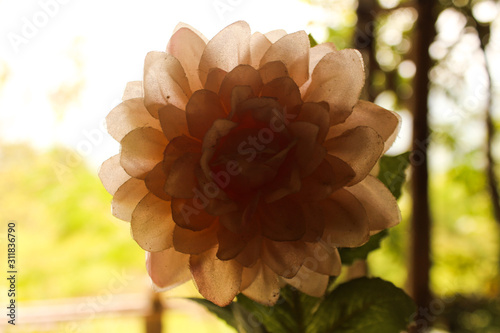 red artificial flower