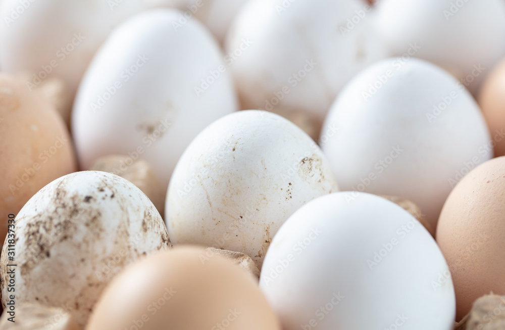 Fresh chicken eggs in industrial mud as a background