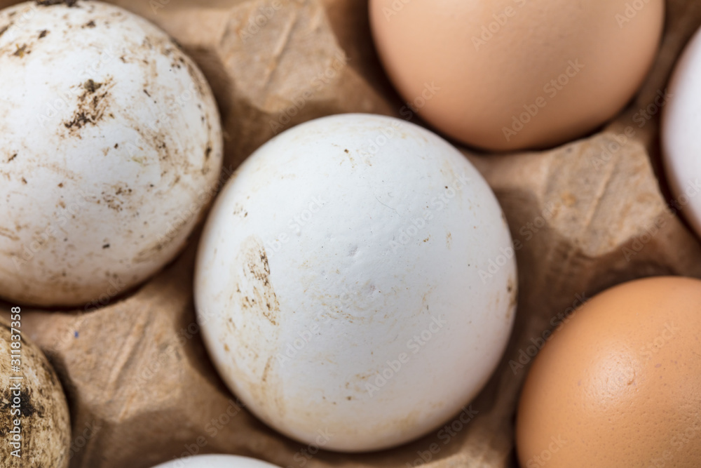 Fresh chicken eggs in industrial mud as a background Fresh chicken eggs in industrial mud as a background