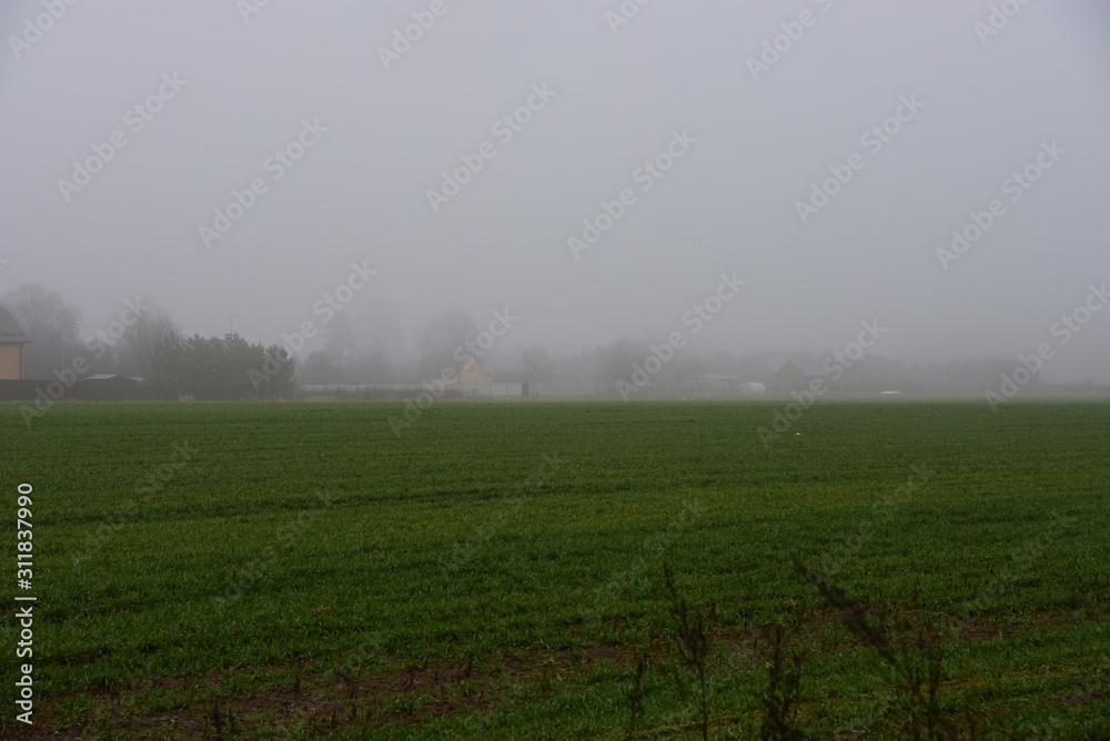 Mysterious autumn landscape. A village in a thick fog on the edge of a field of bright green grass. Mysterious autumn landscape. A village in a thick fog on the edge of a field of bright green grass.