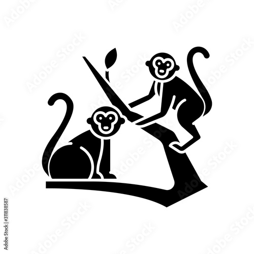 Monkeys in jungle glyph icon. Tropical country animals, mammals. Exploring exotic Indonesia wildlife. Primates sitting. Silhouette symbol. Negative space. Vector isolated illustration