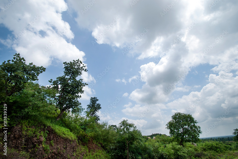 Beautiful Landscape with trees and mountain. Beautiful Landscape with trees and mountain.