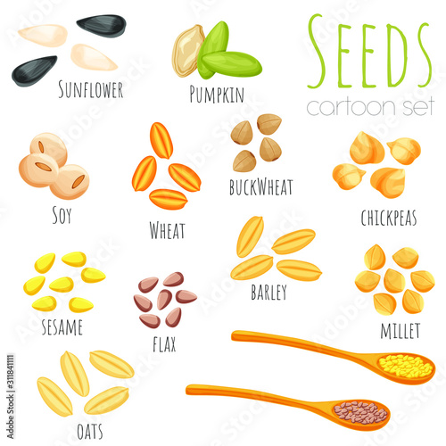 Seeds and beans set of isolated illustrations, cartoon style vector clip-art.