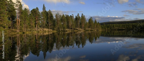 pine trees at a lake in beautiful landscape in Sweden, banner