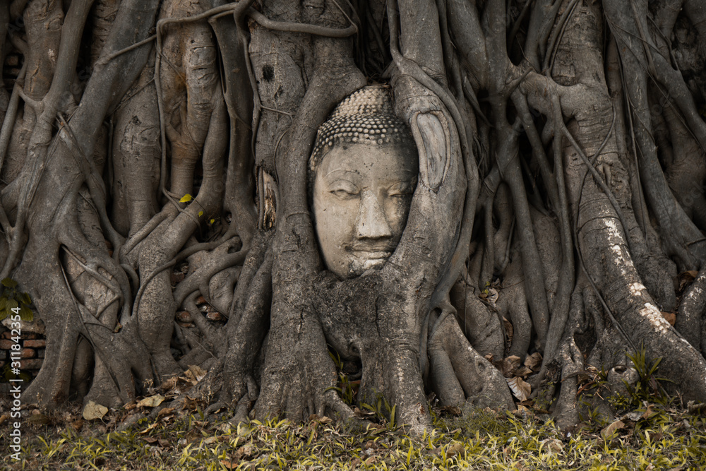 face in the tree in Ayutthaya Thailand