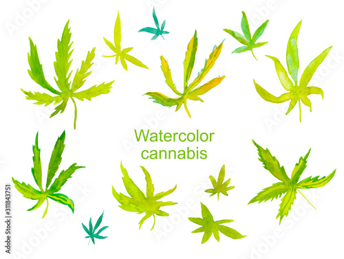 Set of watercolor green cannabis collection. Illustrations of clipart on white isolated background hand drawn. Design for social networks  packaging paper  cards  stickers  prints.