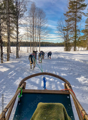 sled in lapland