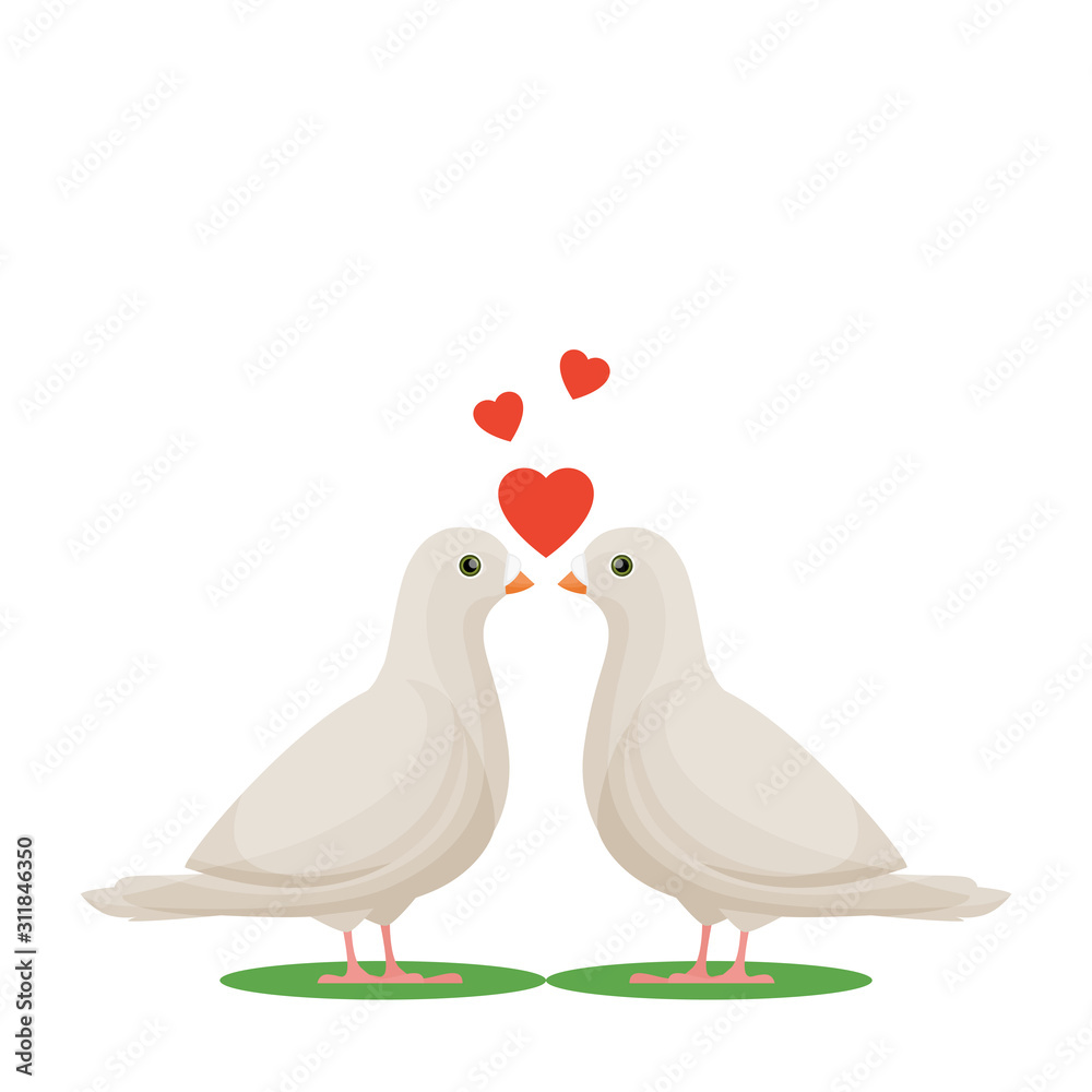 Two white doves in love. Love birds. Pigeons. Vector illustration for Valentine's Day.