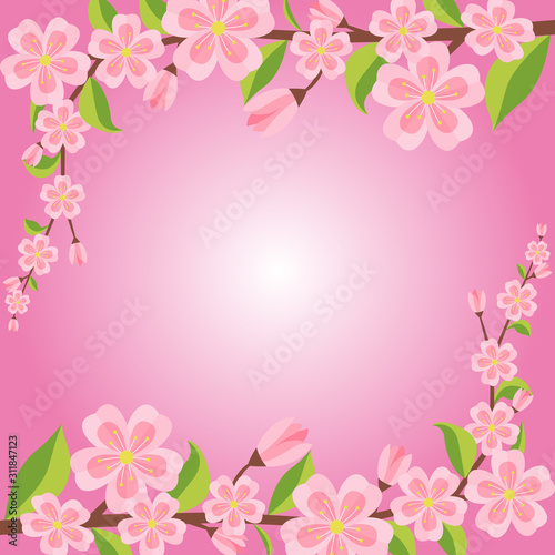 Summer Spring Blooming Flower Nature Pink Garden Park Background