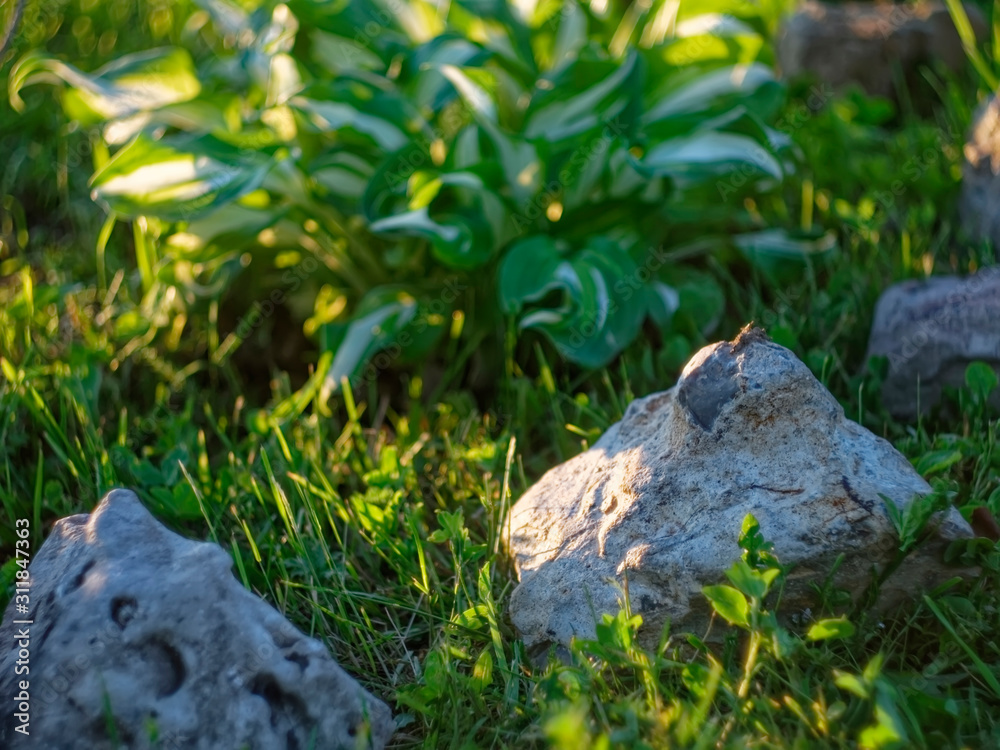 small decorative stones in the garden, Russia. small decorative stones in the garden, Russia.