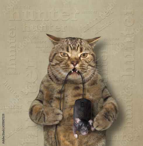 The cat holds a black computer mouse in its teeth by the tail. Beige background. Isolated.