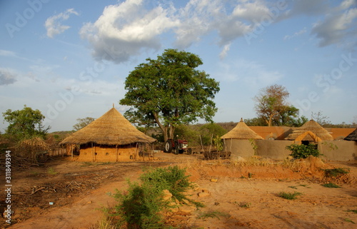 View over the fields of an organic farm in northen Ghana photo