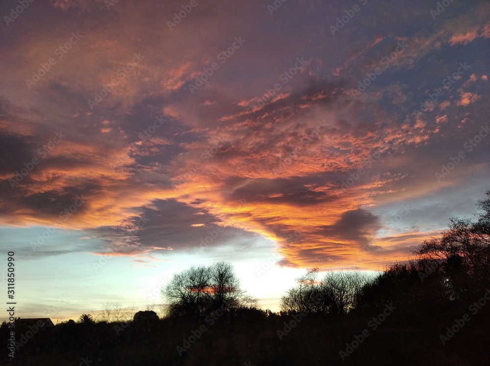 Fototapeta premium Anochecer 