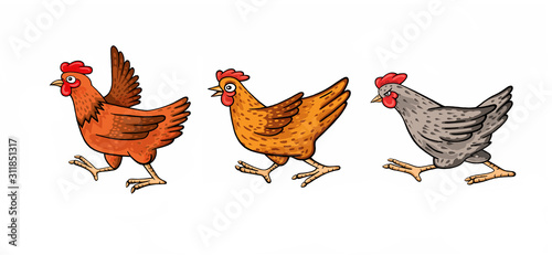 Three funny cartoon chickens