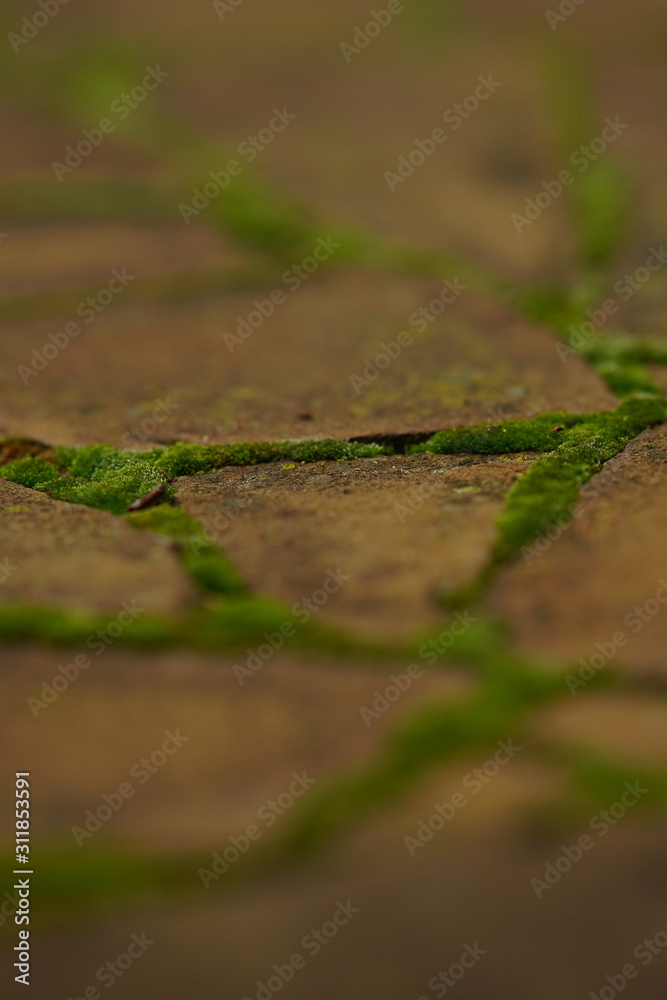 Brown wild stone pavement with green moss in the seams. Brown wild stone pavement with green moss in the seams.