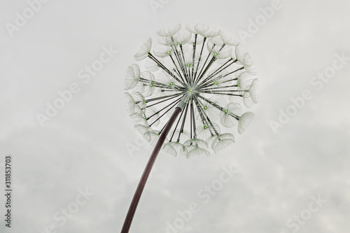 Giant dandelions-garlands. Street Christmas decorations.