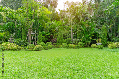 Fresh green grass smooth lawn as a carpet with curve form of bush, trees in a backyard, good mainternance lanscapes in a luxury house's garden under morning sunlight photo