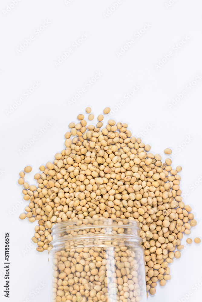 soybean soybean