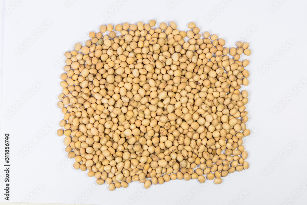 soybean soybean