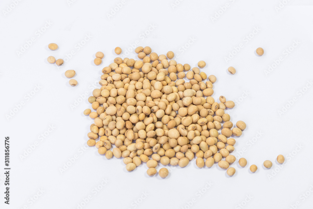 soybean soybean