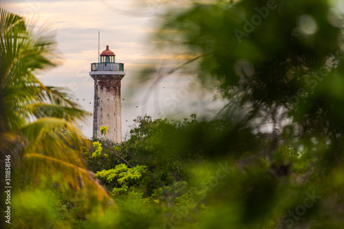 The old lighthouse of Puducherry, South India seen through a group of trees with birds flying by photo