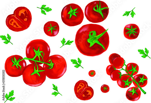 set of tomatoes isolated on white background