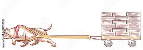 Dog Pit Bull Weight Pulling...