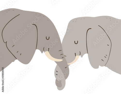 Elephant Entwine Trunks Sho...