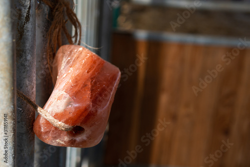 Pink salt lick tied to iron bars of a horse stall as an food additive of minerals - close-up, landscape format, blurred background, copy space