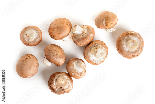 royal champignon scattered, top view isolated on a white background
