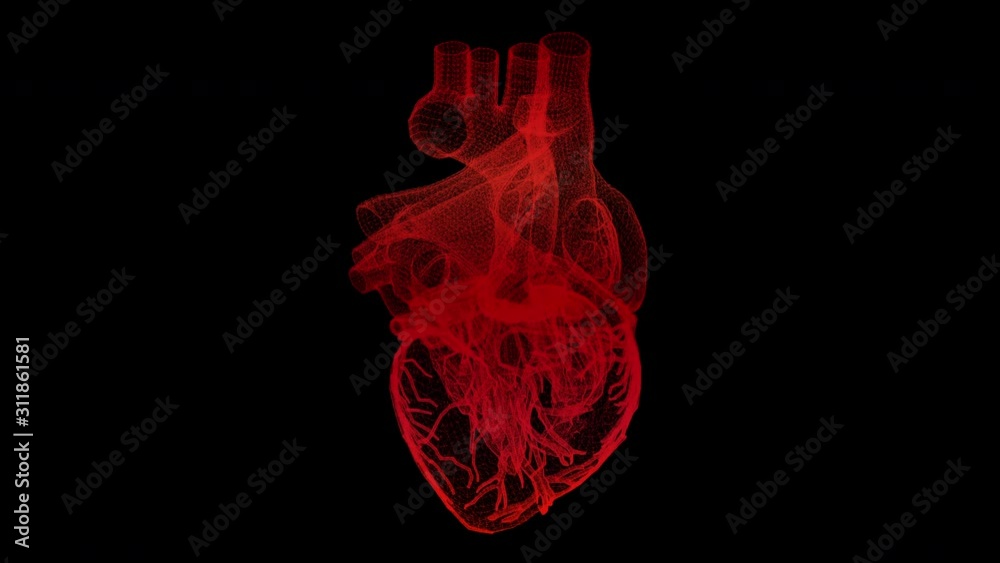 Futuristic head up display motion element virtual biomedical holographic human body scan neurological examination, axial skeleton, vertebral column, DNA and heart diagnostic for background display