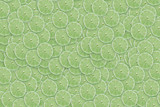 green background with lime circles