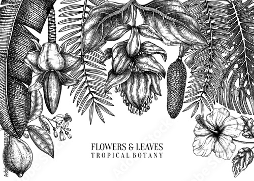 Tropical plants vector frame design. Exotic flowers, citrus fruits, palm leaves sketches collection. Vintage background with tropical flowering plants and leaves. Hand drawn summer template.