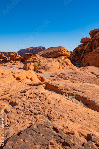 The unique red sandstone rock formations in Valley of Fire State park  Nevada  USA
