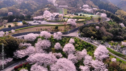 ふたみ潮風ふれあい公園の桜をドローンで空撮
