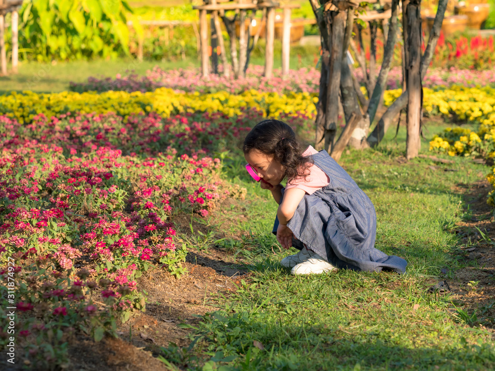 The girl sits on the grass, using a magnifying glass to look at the flowers in the field The girl sits on the grass, using a magnifying glass to look at the flowers in the field