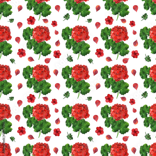 Watercolor seamless pattern of Blooming geraniums, leaves and flowers