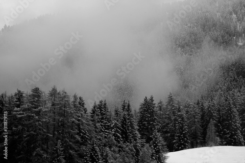 A snowy forest in the mountains with low clouds.