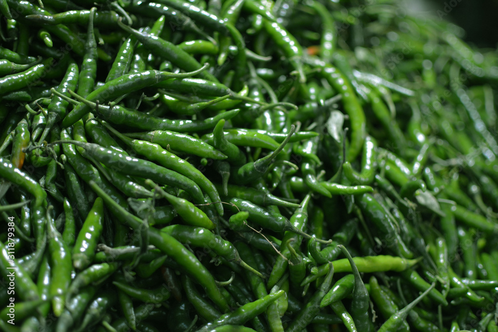 Fresh Green Chilli in Indian Market Fresh Green Chilli in Indian Market