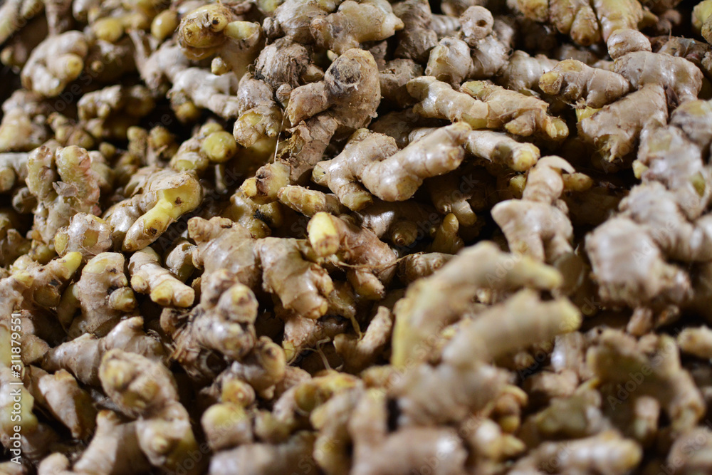 Ginger in Indian Market Ginger in Indian Market