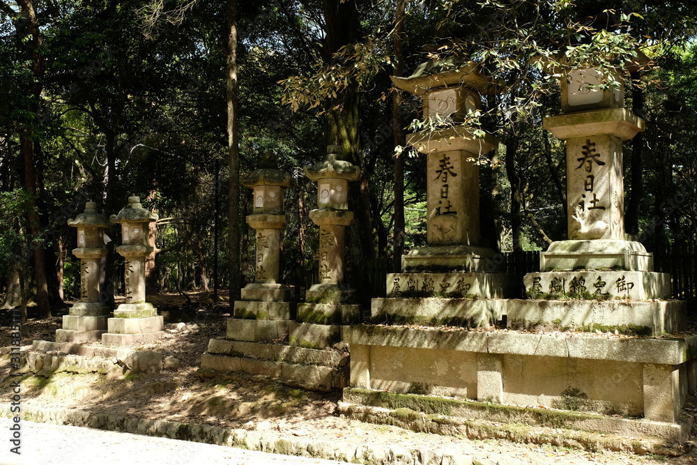 奈良の春日大社の石灯籠が並ぶ参道の風景
