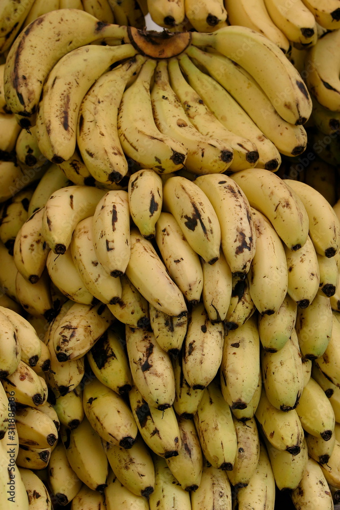 Banana for sale in market