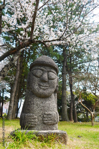 single Dol Harubang (Hareubang) statue in green grassland and cherry trees in background at Jeju Island, South Korea, Asia  © Anja