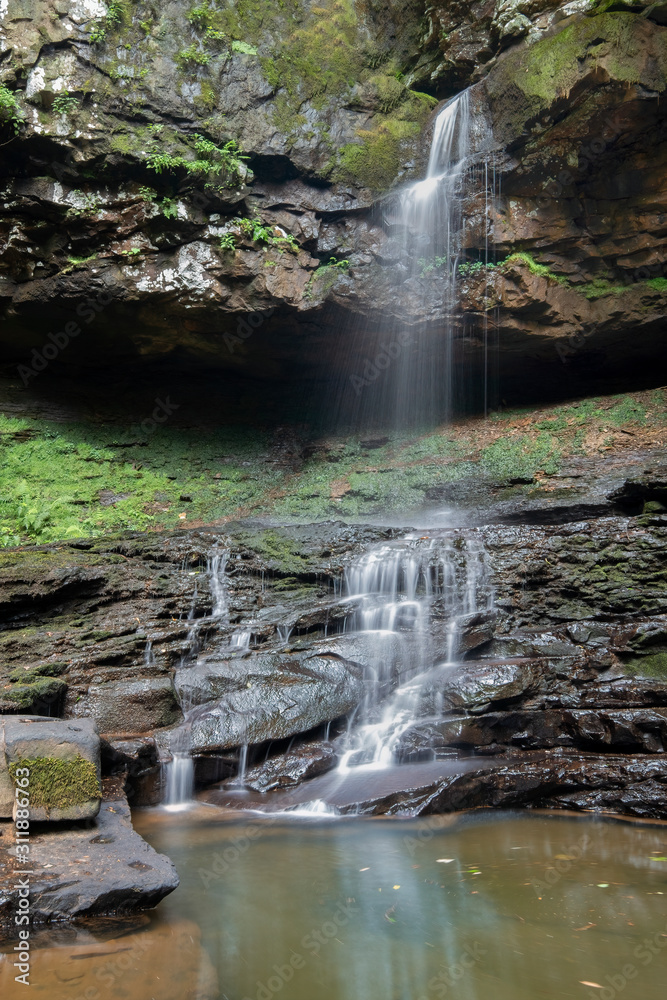Obraz premium Unamed Falls on Daniel Creek, Cloudland Canyon State Park, Georgia 