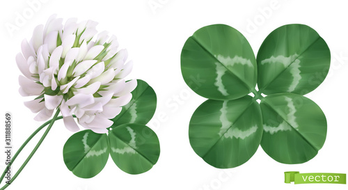 Four leaf clover and clover flower. 3d realistic vector icons