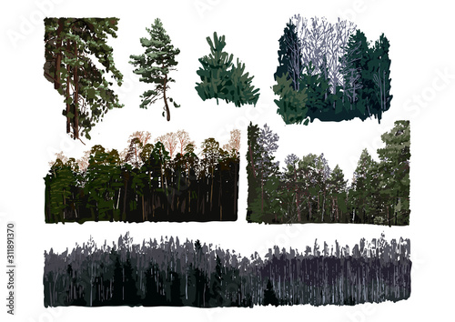 Set of deciduous and coniferous forest groups isolated on white background