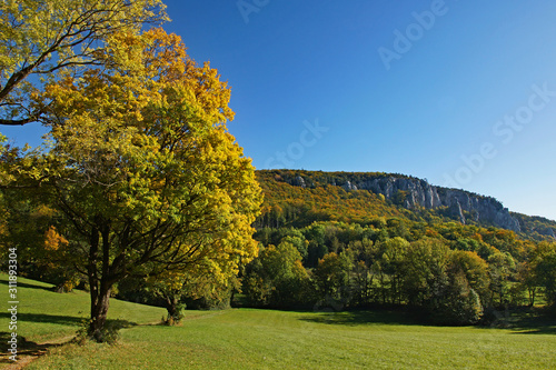 Herbst im Wienerwald photo